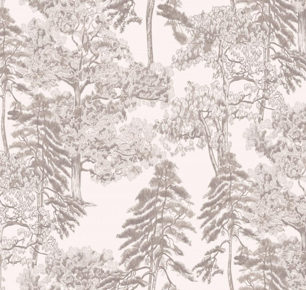 Milassa Ambient AM5 001/1