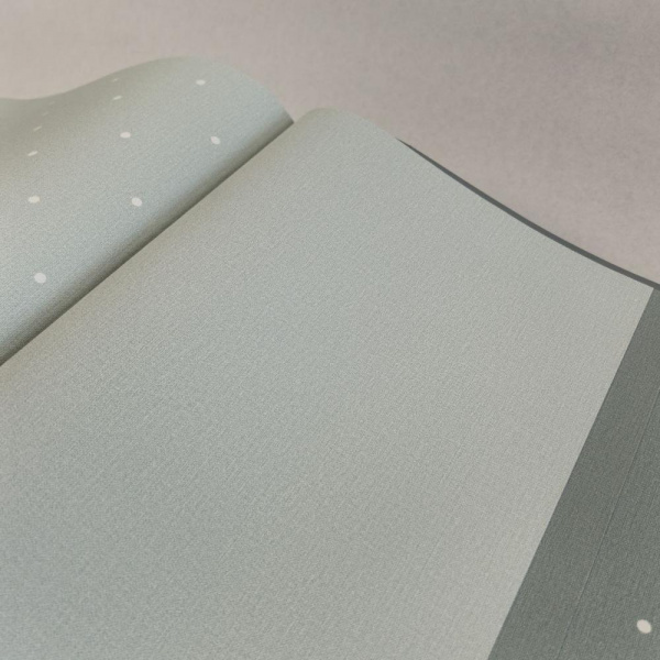 Andrea Rossi Spectrum Box 54455-11