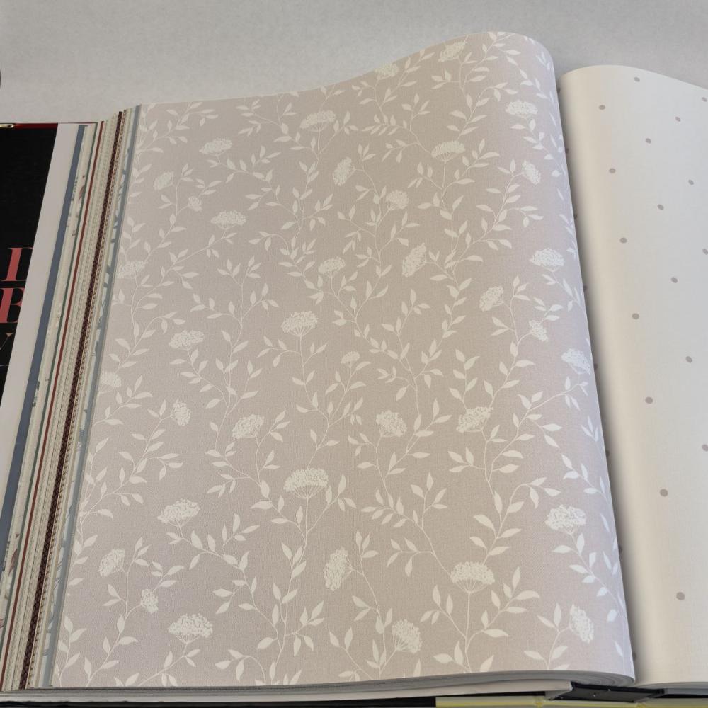 Andrea Rossi Spectrum Box 54456-9