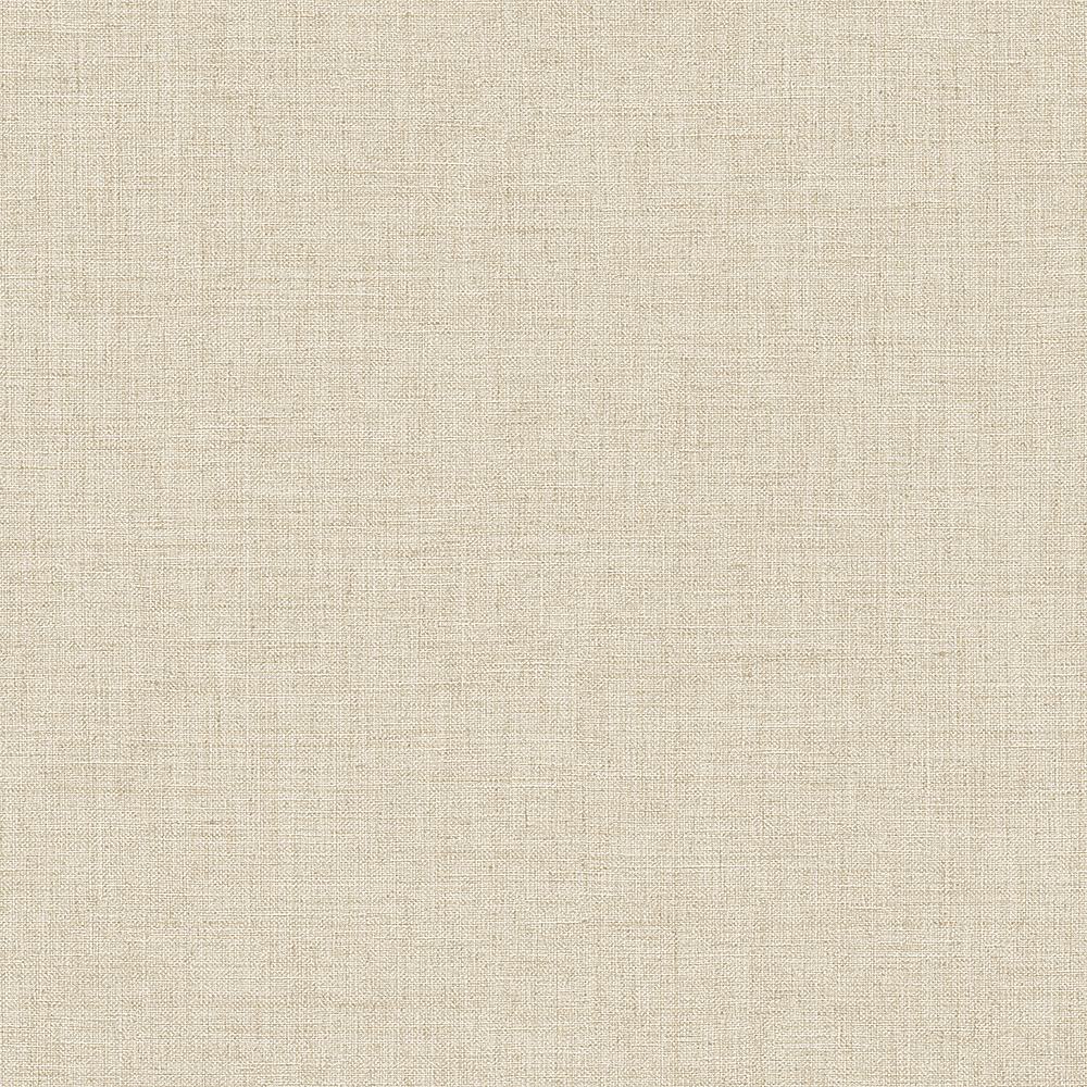 Alessandro Allori Giorgio RGI 1004-5