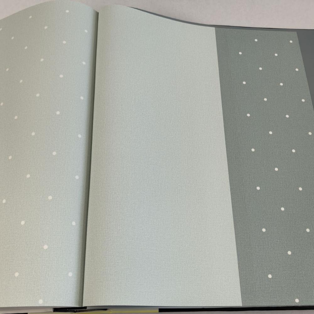 Andrea Rossi Spectrum Box 54455-11