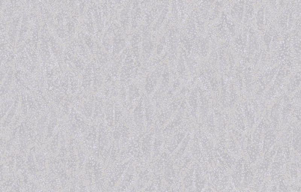 Loymina A la Prima PM7 006